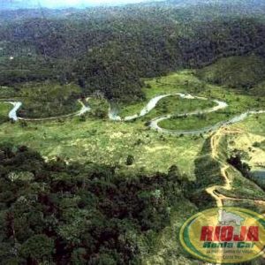 Bosque Lluvioso Rio Costa Rica