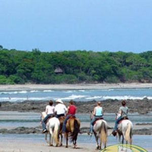 Guanacaste Tamarindo