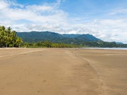 Pacifico Sur: Uvita Costa Rica